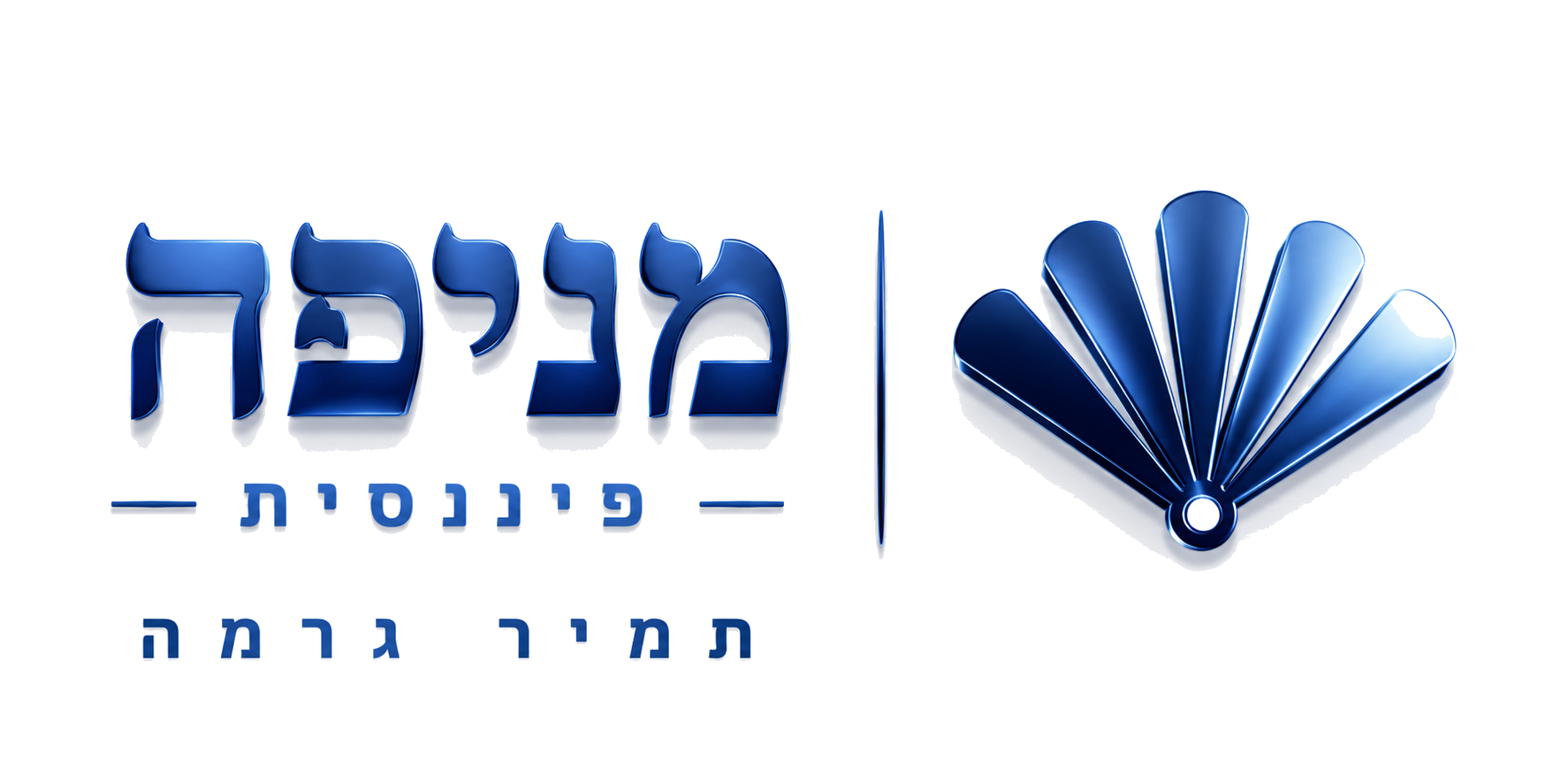 מניפה פיננסית