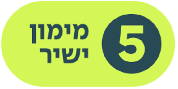 מימון ישיר