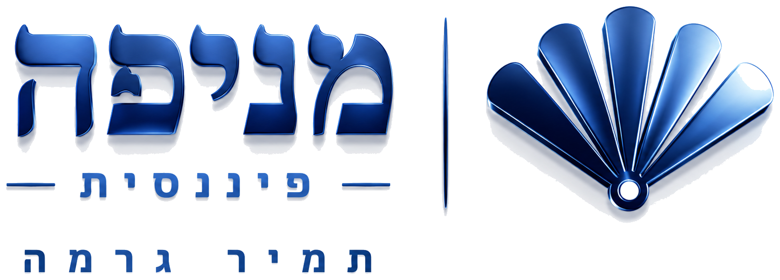 מניפה פיננסית